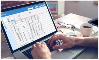 朗视呼叫中心重磅上市，信息系统运行维护服务构筑坚实后盾