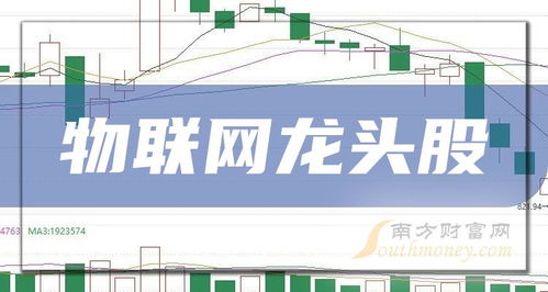 物联网龙头股与信息系统运行维护服务 创新与韧性的双重奏